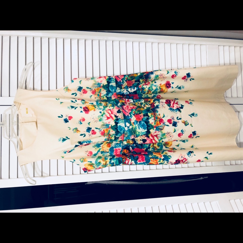 ANTHROPOLOGY SHIFT FLOWER DRESS